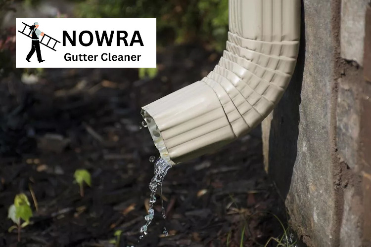 
Nowra downpipes free from clogs after meticulous cleaning