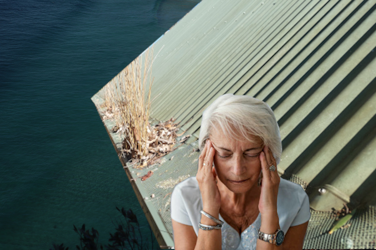 
Gutter Guard Fails to Impress: Woman`s Disappointed Expression in nowra