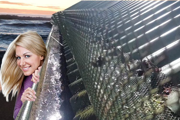 
Observant nowra Woman Checks Freshly Cleaned Gutter with Guards